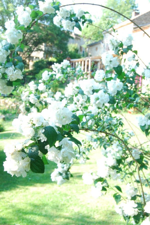 Bed and Breakfast La Freiressa Saint-Jean-des-Ollières Exterior foto